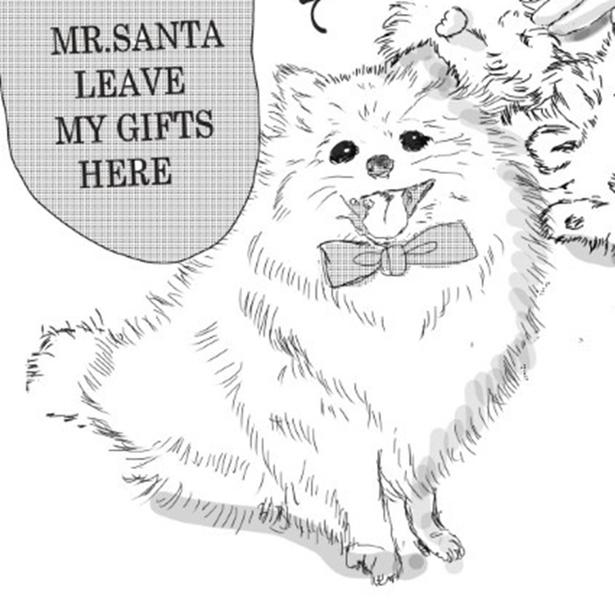 【号泣】いつも配達員を歓喜で出迎える愛犬→突然訪れた悲しすぎる別れ…「何かいいことが？」憔悴した飼い主が2カ月後に見せた笑顔のワケ【作者に聞く】