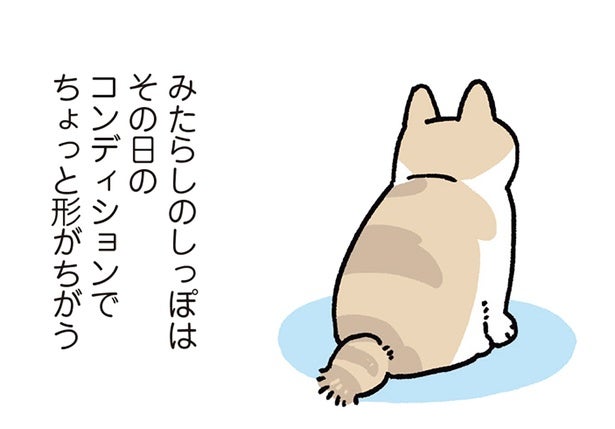 日によってフォルムが変わる？ミステリアスな猫のしっぽの秘密