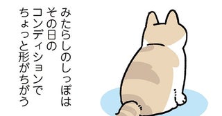 日によってフォルムが変わる？ミステリアスな猫のしっぽの秘密