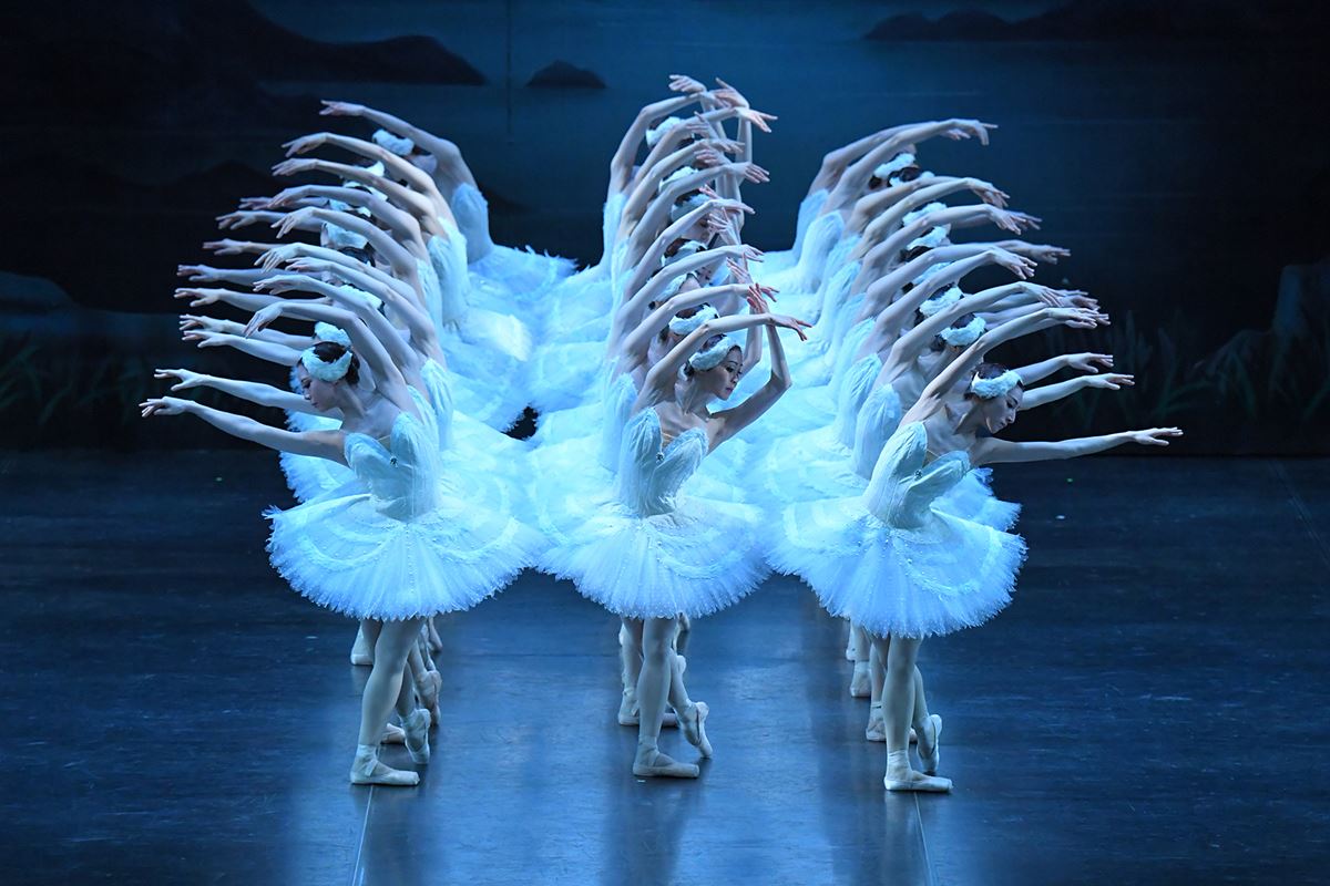 牧阿佐美バレヱ団『白鳥の湖』が間もなく開幕伝統の古典全幕作品で新たなヒロインが羽ばたく