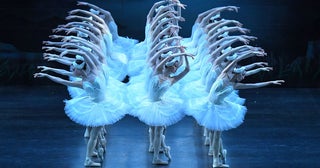 牧阿佐美バレヱ団『白鳥の湖』が間もなく開幕伝統の古典全幕作品で新たなヒロインが羽ばたく