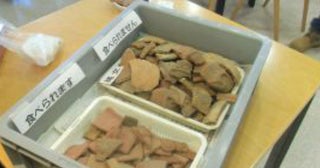 【入館無料デーも！】横浜市歴史博物館のイベントスケジュールまとめ。ナイトミュージアムやバックヤードツアーも要チェック