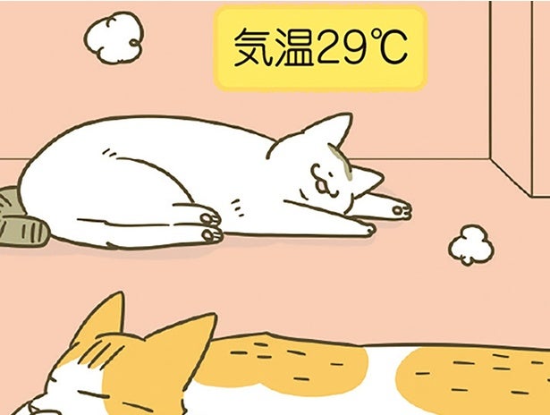 気温が変われば猫たちのいる場所も変わる。暖房をつけ始めるタイミングは？