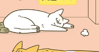 気温が変われば猫たちのいる場所も変わる。暖房をつけ始めるタイミングは？
