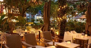 夜風が心地よいテラスで乾杯！表参道で6,000円以下＆飲み放題付きのおしゃれディナー3選