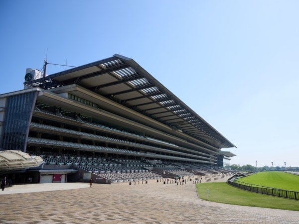秋競馬を楽しもう！ウマ活初心者のための「秋のG1」見どころガイド