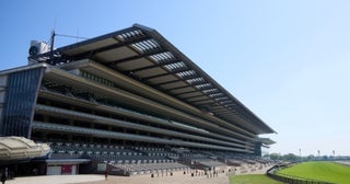 秋競馬を楽しもう！ウマ活初心者のための「秋のG1」見どころガイド