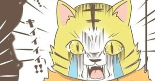 「男の子の育児は絶対損？」→2児の母に放たれた衝撃の真実に「泣けてきた」「男の子育児の闇」【作者に聞く】