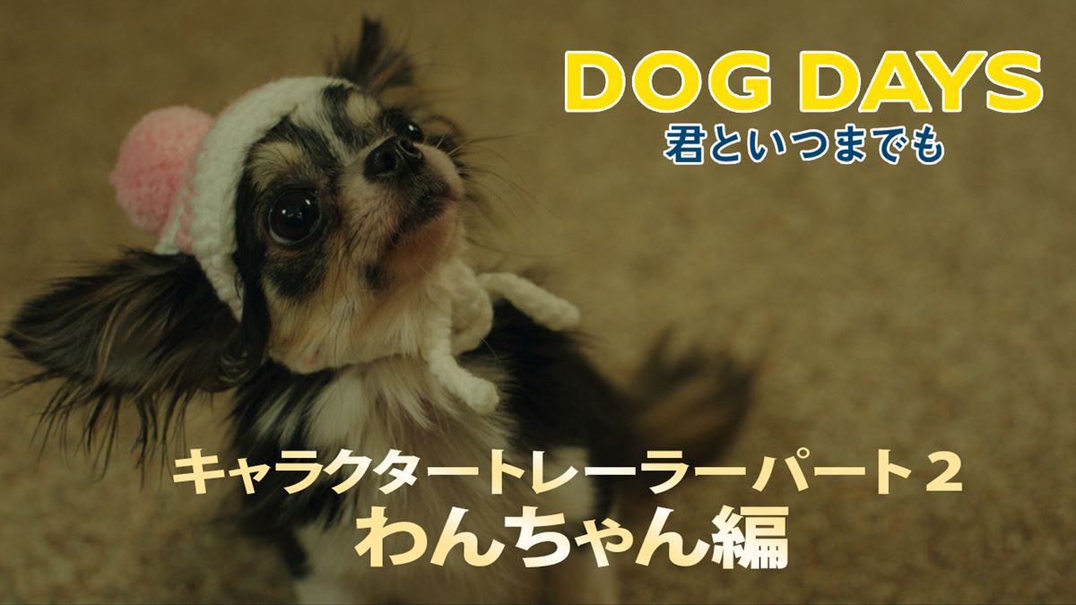 フレンチブルドッグにチワワ……チャーミングなワンコたちを紹介する『DOG DAYS 君といつまでも』キャラトレーラー公開