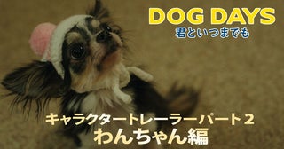 フレンチブルドッグにチワワ……チャーミングなワンコたちを紹介する『DOG DAYS 君といつまでも』キャラトレーラー公開