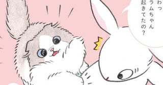 気づかない飼い主の背中にタッチしたのは…？構ってほしい愛猫の行動が「なんて可愛いの！」と話題【漫画】