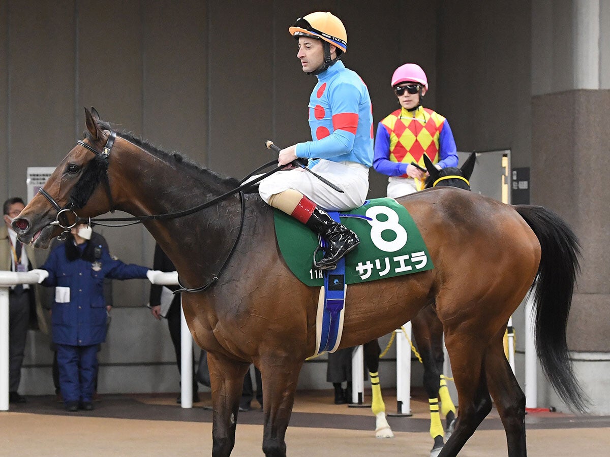 【競馬血統予想】GⅠエリザベス女王杯と相性がいいディープインパクトの血重賞初勝利を目指す２頭が注目