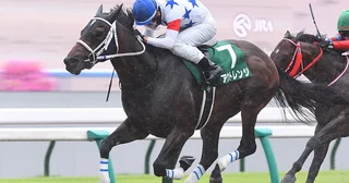 【競馬予想】混戦模様のチャンピオンズＣで注目すべき、キングマンボとキズナの血クロスも含めて徹底チェック