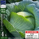 ＜春キャベツが苦手な人へ＞冬キャベツと違って扱いにくい？美味しく食べる調理法、使い分け方は