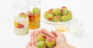 旬の南高梅にこだわった「蝶矢“旬の”梅酒キット」が梅体験専門店で予約販売中！初心者でも簡単につくれる