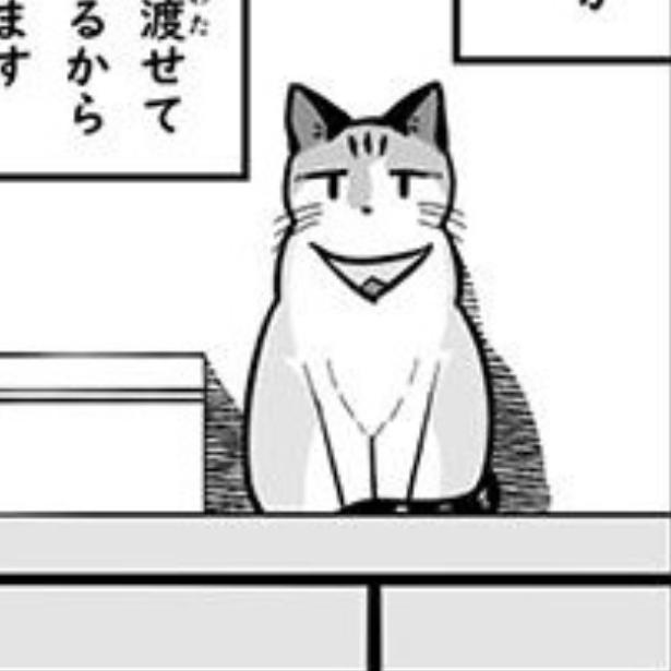 【ねこ漫画】猫好き悶絶!!「高いところに登って降りられない？」その後のことは考えてない“猫あるある”に共感の声続出【作者に聞く】