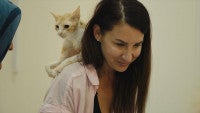 『猫たちと7000マイルの旅』日本版予告編解禁マイ・ホン監督＆ケイティ・マクヒューの来日も決定