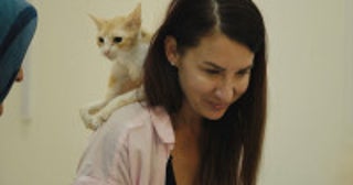 『猫たちと7000マイルの旅』日本版予告編解禁マイ・ホン監督＆ケイティ・マクヒューの来日も決定