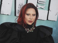 レディー・ガガに第1子誕生婚約者とともに子育て満喫中