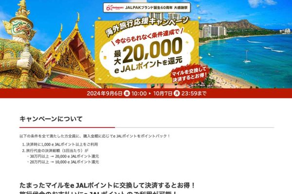 jal パック オファー 海外 旅行 保険