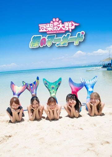 豆柴の大群、新曲「裸のマーメード」ジャケット写真など一挙公開！