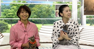 2月22日“猫の日”の特別番組「猫の幸せ私の幸せ」猫と健康に暮らすための最新情報が盛りだくさん