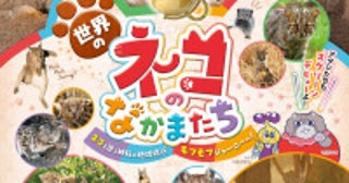 『劇場版ダーウィンが来た！世界のネコのなかまたち』10.2公開決定山田孝之＆水瀬いのりのコメント到着