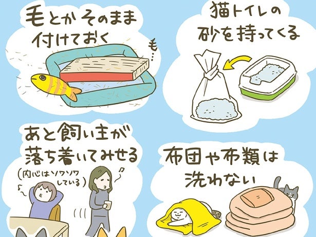 いざ新居へ！ 猫たちが早く新しい環境に馴染めるように、様々な工夫をしました