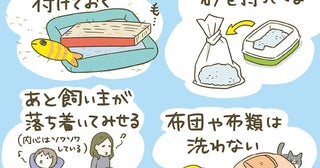 いざ新居へ！ 猫たちが早く新しい環境に馴染めるように、様々な工夫をしました