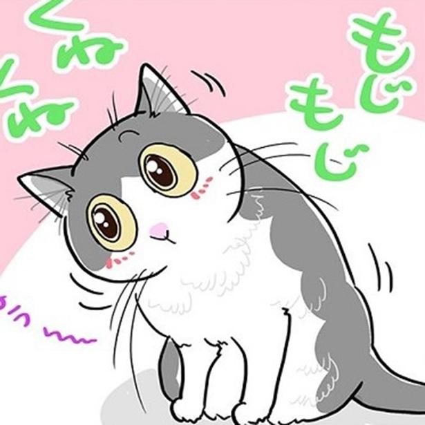 【愛猫】それは何のサイン？不満？甘え？トイレハイ!?飼い主は「ほぼほぼ、わけがわからず怒られています」【インタビュー】