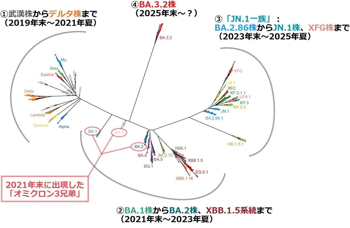 新たな変異株が流行の兆し!?蝉とバギーとBA.3.2（後編）【「新型コロナウイルス学者」の平凡な日常】
