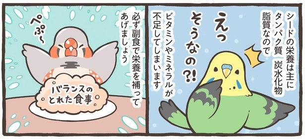 小鳥のごはんには何を与えたらいい？ 主食＋副食で必要な栄養をしっかりカバー