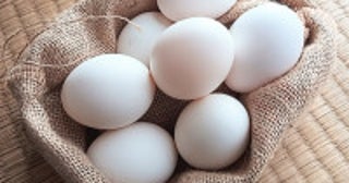 ゴミ清掃員芸人が“卵を1ヵ月保存する方法”を伝授！「目から鱗」「知らんかった」と話題