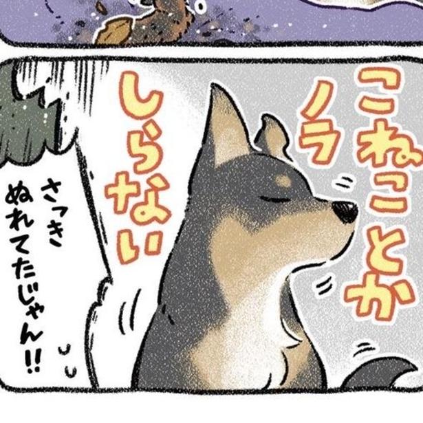 「うわっ、汚ッ」飼い犬が拾ってきた“ゴミ”の正体は子ネコ!!「うちで保護した子の半数以上はノラ(犬)が拾ってます」【著者取材】
