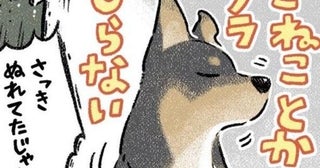 「うわっ、汚ッ」飼い犬が拾ってきた“ゴミ”の正体は子ネコ!!「うちで保護した子の半数以上はノラ(犬)が拾ってます」【著者取材】