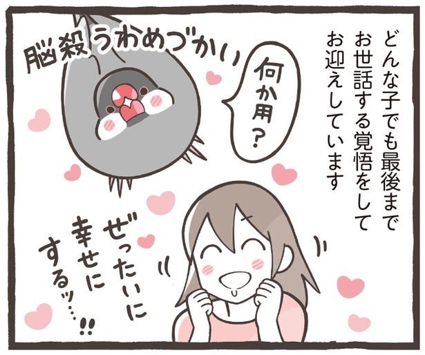 【小鳥のトリセツ】個性は違えど、どの子も尊い命。お迎えしたら最後まで愛してあげて