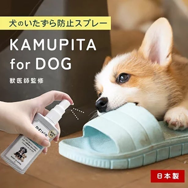 しつけにも使える！獣医師監修の犬向けいたずら防止スプレー「かむピタ for DOG」が新発売