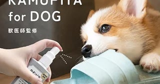 しつけにも使える！獣医師監修の犬向けいたずら防止スプレー「かむピタ for DOG」が新発売