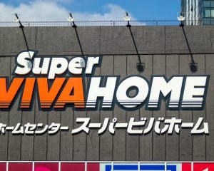 「カインズ傘下のハンズ」と「ニトリ化した島忠」。ホームセンター再編で明暗が分かれた理由。売上4000億超、巨大グループ誕生の成算