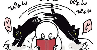 「ボク！ここにいるんです！」読書に夢中な飼い主へのアピールが可愛い黒猫