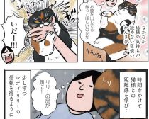 「奥様そんな恥ずかしいカッコを…」外国育ちのマダム猫、日本の古民家で“へそ天”暮らし【漫画】