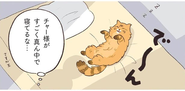 ベッドの真ん中で、たぬきみたいな猫が爆睡。犬はどこに？
