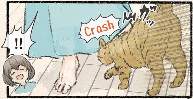 完全に被害者の顔。飼い主とぶつかったネコ様の態度が強すぎる