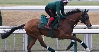 【競馬予想】ジャパンカップに挑む「大物」外国馬カランダガン欧州最強馬の称号は本物か