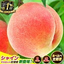 ＜飽きっぽいタイプ＞仕事や人間関係がマンネリ化したらすぐ辞めたくなる。今の職場を続けるには？