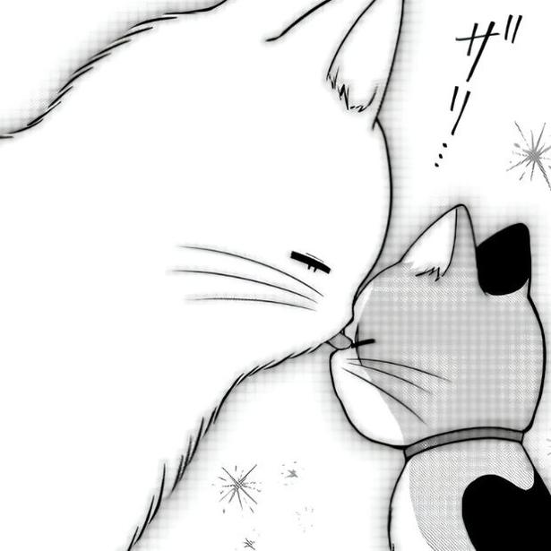 【ねこ漫画】「おれさまが助ける！」一度は人間に捨てられた猫が心を許すまで…を描いたハートフル漫画に「泣ける」の声!!【作者に聞く】