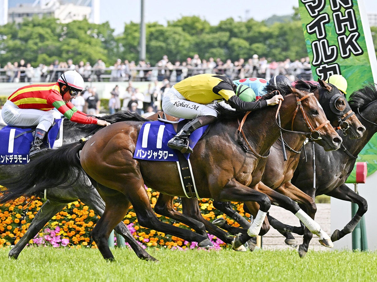【競馬予想】高配当必至のスプリンターズＳウインカーネリアンの激走を予見していた穴党記者オススメの２頭