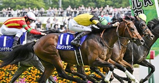 【競馬予想】高配当必至のスプリンターズＳウインカーネリアンの激走を予見していた穴党記者オススメの２頭