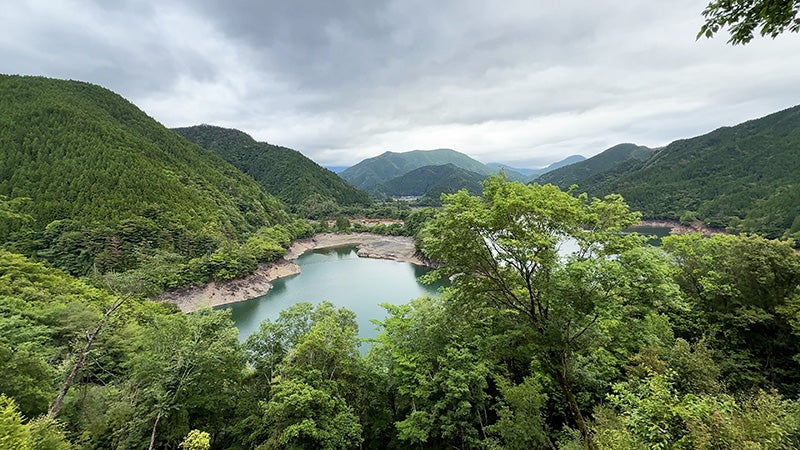 【高知の山】林業の村からユズの里へ、知恵で未来をつないだ馬路村