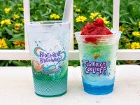 東京ディズニーランド、夏のひんやりメニューを実食！味変して楽しめる「シェイブアイス」など紹介